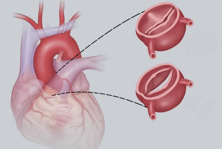 1717967185.556971_392273_image